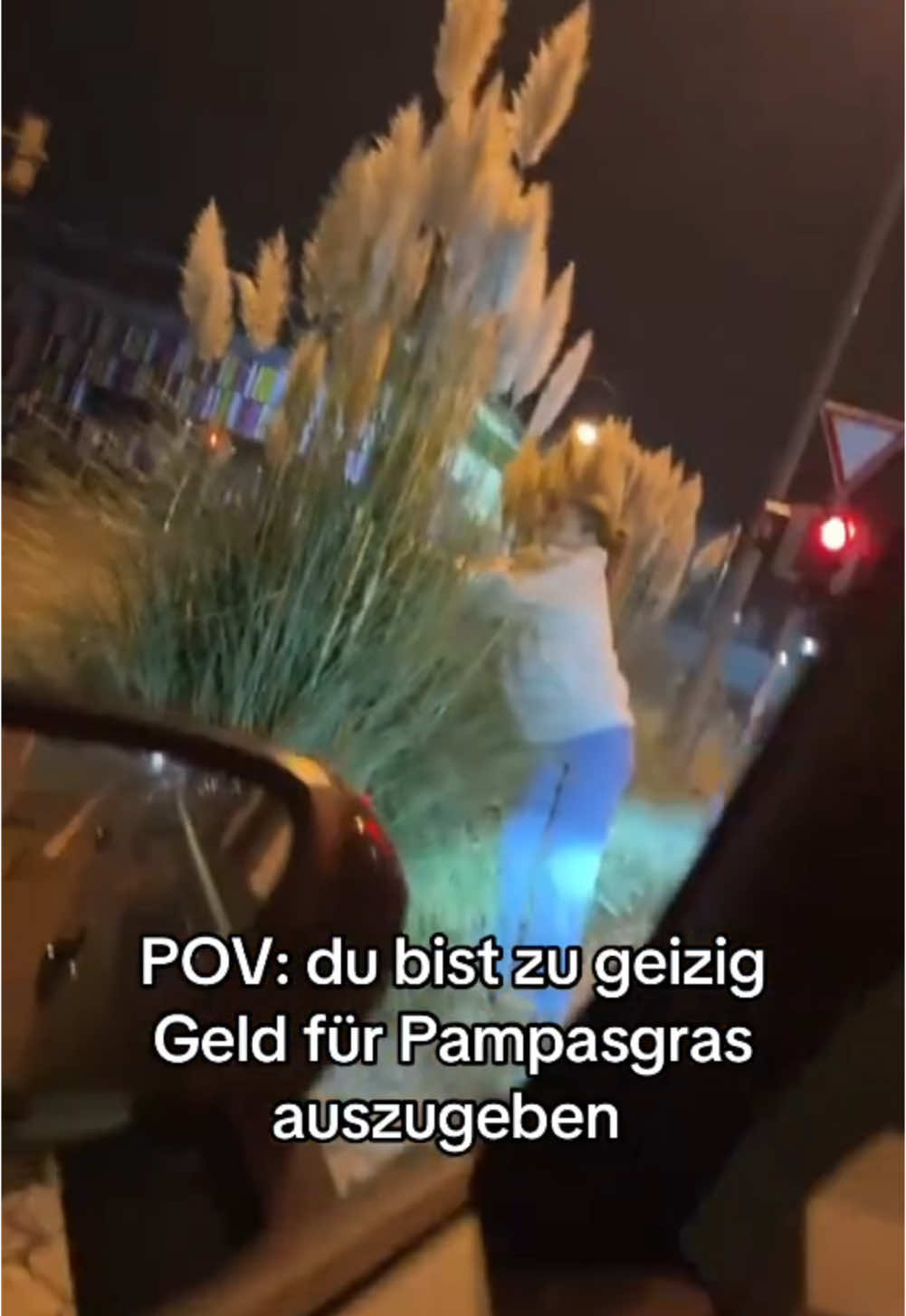 #pampasgrass #pampasgrassdecor #lustig #fy #fouryou 