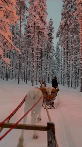 Levi 🇫🇮❄️🩵 #Lapland #Levi #Travel #Finland 