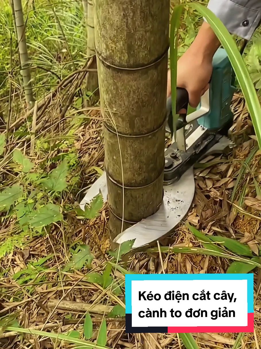 Có cái máy cắt này thì cây tre, nứa, cây, cành to,...cắt phát một luôn các bác nhe, lực cắt mạnh, cắt nhanh và đơn giản, bác nào cần thì tham khảo nhe, cảm ơn các bác #keocatcanh #maycat #cua #catcay #caytre #cattia #xuhuong #foryou