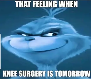 kneesurgery💀💀 #kneesur#fypp#meme#brainrot#viral#grinch#thatfellingwhenkneesurgeryistommorow#fyppppp