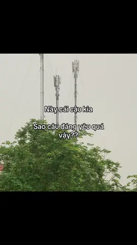 #ngoc_05th8_ #xuhuong #fyp #viral 