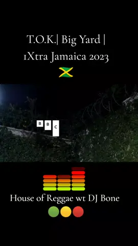 T.O.K.| Big Yard | 1Xtra Jamaica 2023 🇯🇲🎶🎵🟢🟡🔴 #90s #2000s #dancehall #dancehallmusic #oldschool #reggae #reggaemusic #worldmusic 