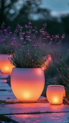 #حالات_واتس #ستوريات #مساء_الخير #راقت_لي 