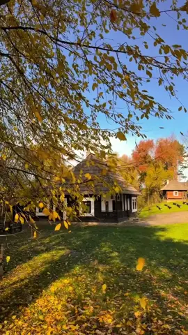 What is it about autumn that makes us feel both lost and found? In the secluded, quiet heart of a Romanian village, where ochre and umber leaves descend like whispers from ancient trees, time weaves itself differently, more tenderly. Here, the season carries a haunting beauty—a silent yet symphonic reminder of life’s relentless passage. As the last golden leaves spiral to the earth, it’s as if each one is a fragile echo of memories, lives lived and lost, love whispered and kept secret by the forest. The village settles into this rhythm, deeply attuned to the ceremony of change, watching and waiting, reverent. Underneath the folklore and customs, there’s a sanctity to these hours. Autumn in the village is filled with rituals, the kind that feel as old as the mountains themselves. You can hear the murmured stories that have endured the centuries, tales that grow roots and branches in the minds of the villagers. Each fallen leaf, each crisp breath of evening fog, speaks to a primordial connection, a mythology spun from the earth itself. The trees, weathered and wise, seem to lean toward you as if eager to share secrets only they understand. Here, time doesn’t fly; it drifts, falls, like those leaves—a gentle descent into memory, into the soul of the land. Could there be a place where time lives so richly in its own past yet steps forward with such grace? For every leaf that touches the ground, there’s a reminder of life’s ephemerality—a reminder that the things we cherish and the stories we inherit must be carried forward, guarded and kept. What folklore lives in your bones? What memories drift, like leaves, waiting for you to catch them before they settle, quietly, back into the earth? Video by @Bucovina | Obiective turistice  [Village Folklore, Romanian Autumn, Rustic Life, Passing Time, Ancestral Traditions, Cultural Myths, Carpathian Villages, Ancient Customs, Traditional Wisdom, Autumn Landscape, Harvest Rituals, Leaf-Fall, Bucolic Scenes, Silent Forests, Storytelling, Ephemeral Beauty, Mystical Romania, Nature’s Poetry, Earthbound Stories, Local Heritage] #romania #folklore #autumn #village