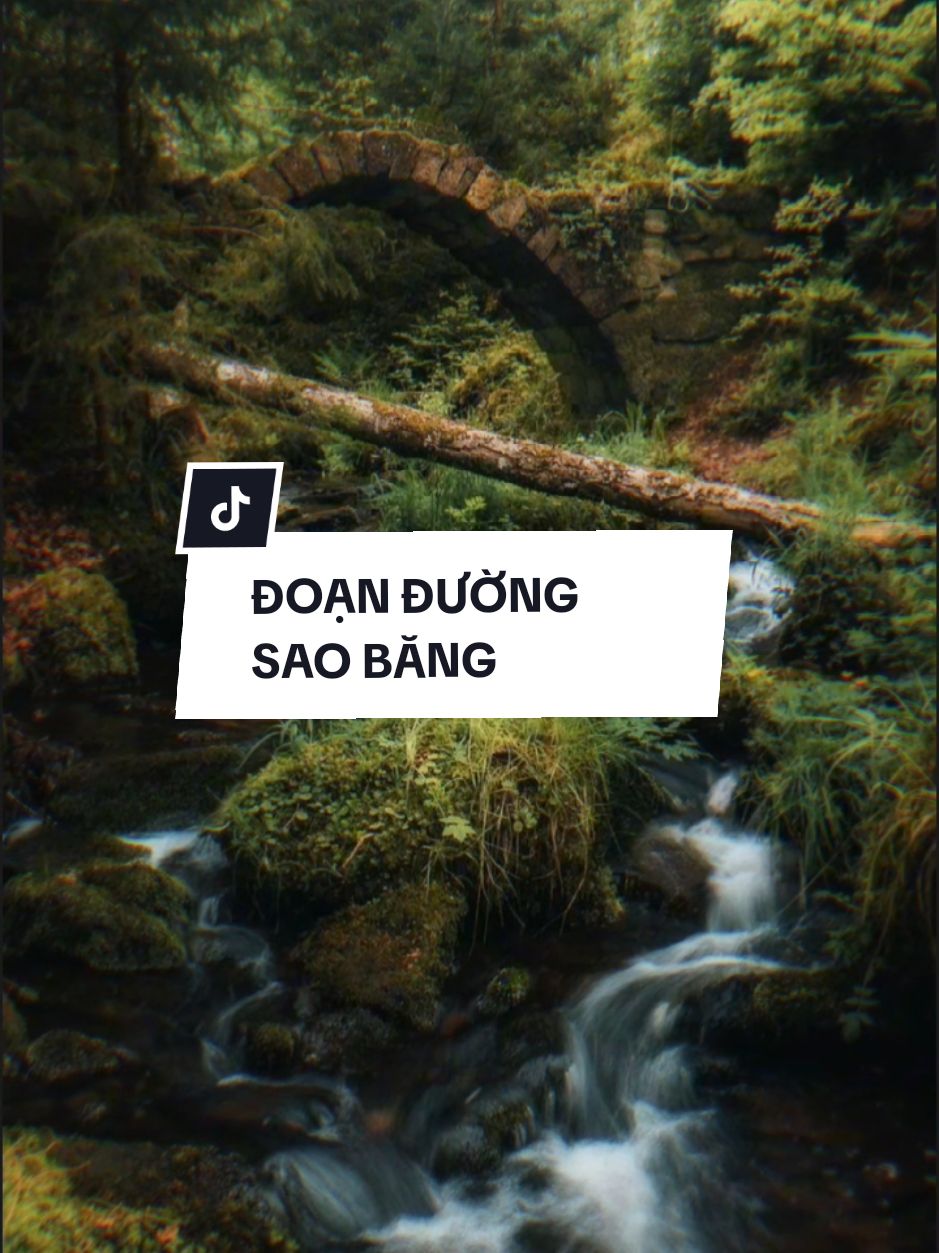 Em xinh như tán cây dịu dàng... • • #CapCut #mẫucapcut #tlkiet #nhachaymoingay #doanduongsaobang #kha #ddnxuhuong 