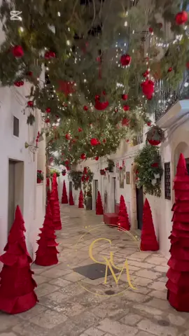 Buenos días mi gente hermosa feliz domingo #Diosesamor #amate #paratii #videoviral #buenosdiasmundo🌏 #felizdomingoparatodos #graciaspadreamado🙏 #ginamcapsuladeamor #bienvenidanavidad #bienvenidanavidad🌲 #holanoviembre 