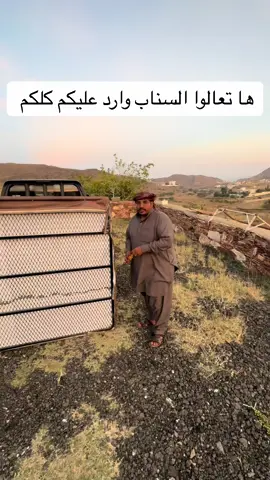 الله يحيي الجميع اي شي تبون خاص والازسناب ✋🏻✋🏻