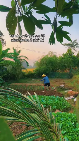 #nhenhang #yenbinh #langyen #ninhbinh #chualanh #quehuong 