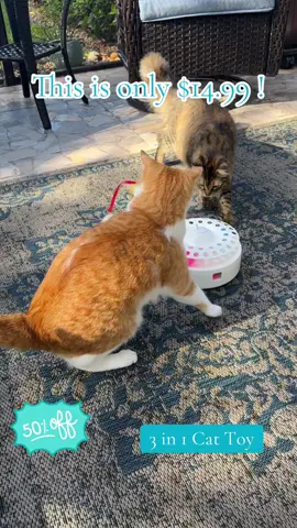 Best Interactive Cat Toy  #FallDealsForYou #TikTokShopBlackFriday  #TikTokShopHolidayHaul  #TikTokShopCyberMonday 