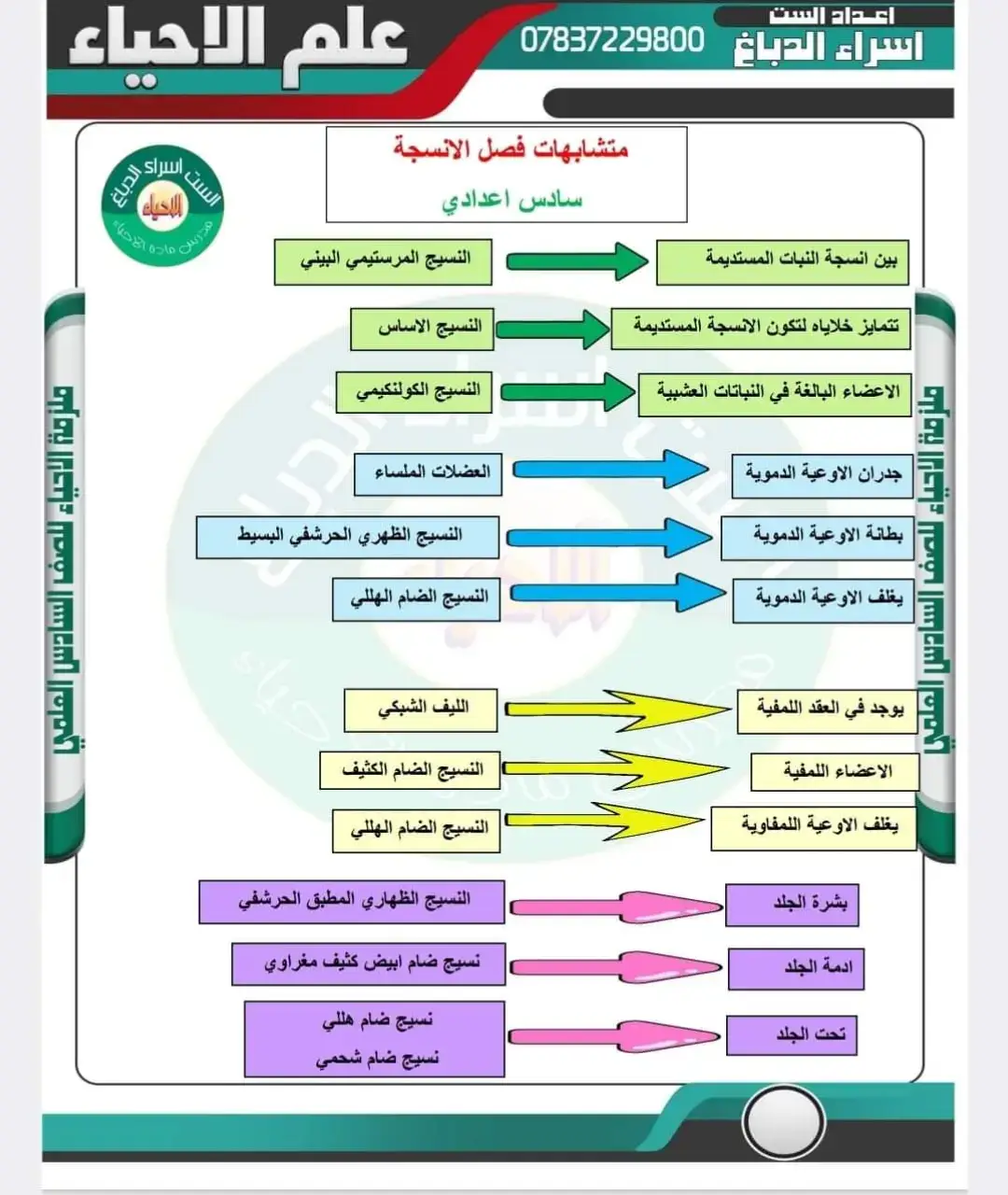 #رياضيات #ثالث_متوسط #ابتدائي #سادس #سادس_احيائي 