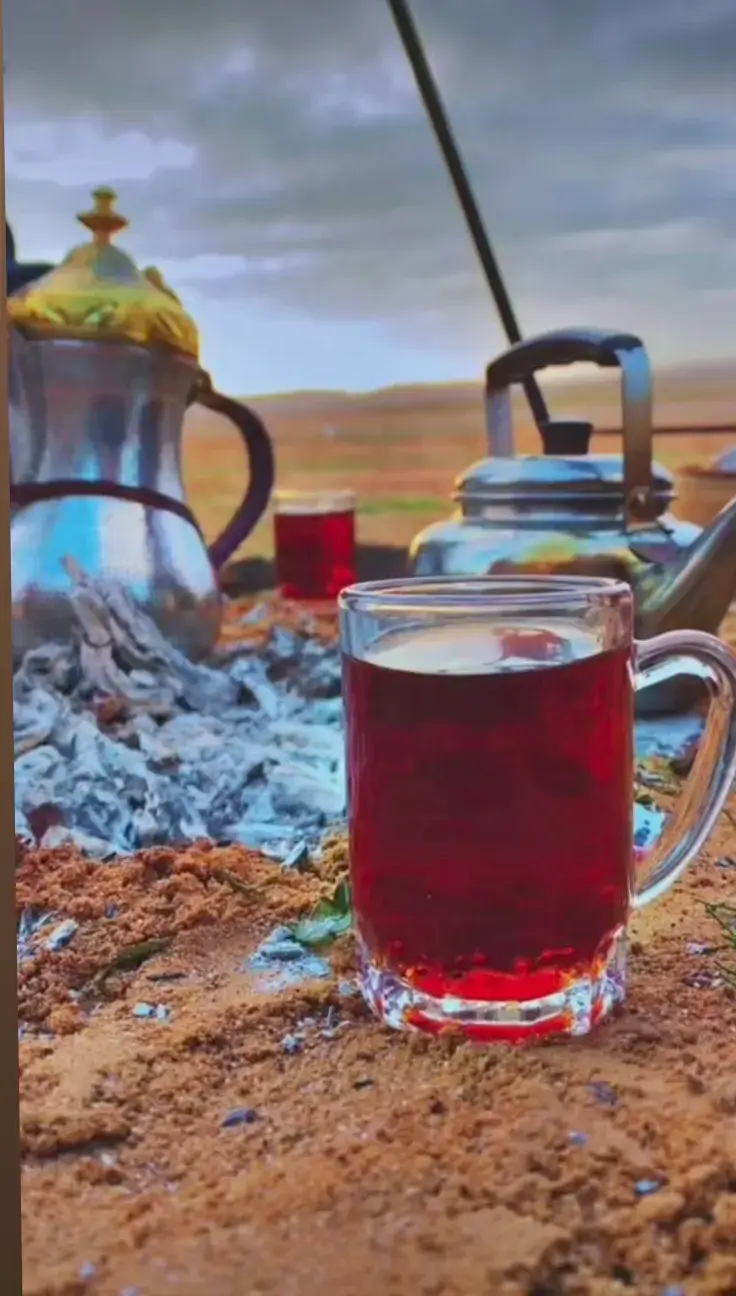 #شيلات  #شيلات_ذوق  #شيلات_طرب  #شيلات_حماسيه  #شيلات_فخمة❤️  #لايكات_الاكسبلور_متابعه  #اكسبلورررررررررررررررررررر💥🌟🌟 #اكسبلورررررررررررررررررررر💥🌟🌟 #اكسبلورررررررررررررررررررر💥🌟🌟 #اكسبلورررررررررررررررررررر💥🌟🌟 #اكسبلورررررررررررررررررررر💥🌟🌟 