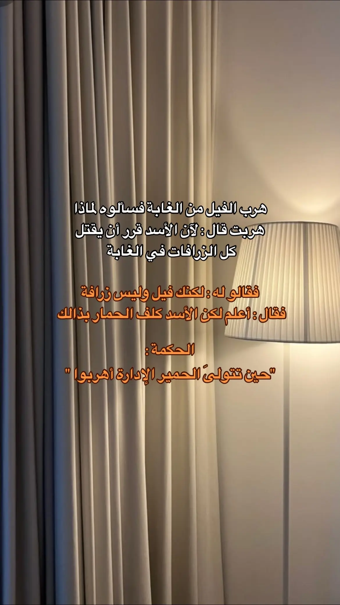 #fürdich #fyp #fybシ #4you #اكسبلورexplore 