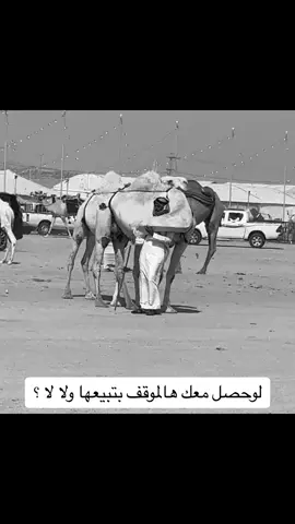 #اكسبلورر #اكسبلور #ترند #تك_توك #الشعب_الصيني_ماله_حل😂😂 ##الرياض #موسم_الرياض #دواسر #مطير #عتيبه 