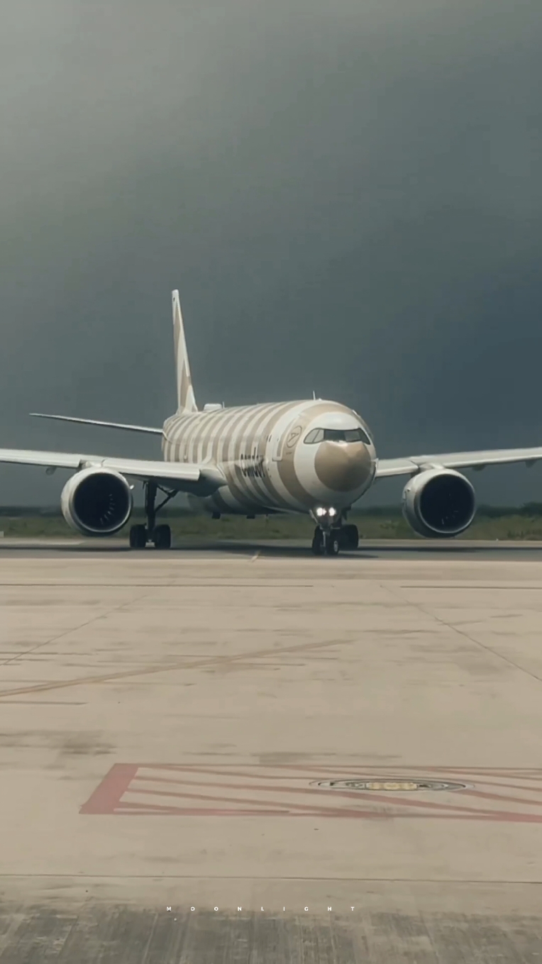 This is Aviation   #sunset #takeoff  #aviation #treanding  #edit #fyp  #avgeek #snow #snowy #landing #beautiful #asthetic #clouds #wing #wingview #cockpit #pilot  #mountain #airport #airline #fyp #plane #aircraft #moonlight 