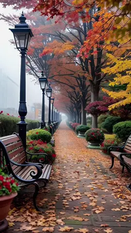 أقتباسات .  #عبارات_ #خواطر #أقوال_وحكم_عن_الحياة #عبارات_خواطر_اقتباسات #خواطر_من_القلب #خواطر_للعقول_الراقية #العراق🇮🇶 #جميع_الدول_العربيه #vira #fypシ゚viral #tiktok #foryourpage #أكسبلور 