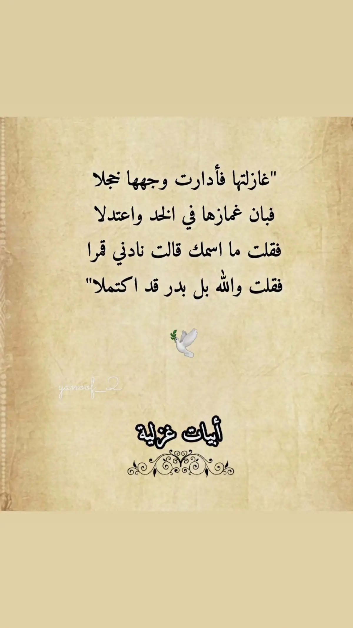 #أبيات_من_الشعر #أدب_عربي #تيك_توك 