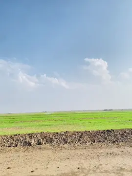 #الجبوري🇮🇶👻 #الشعب_الصيني_ماله_حل😂😂 #trd2020 #الرقم_الصعب🔥👑 