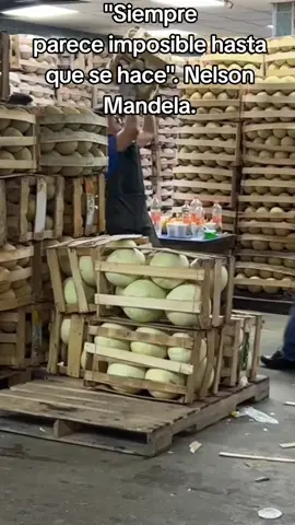 #trabajoduro #diadelhombre2024 #hombres  #sacrificio  #real 