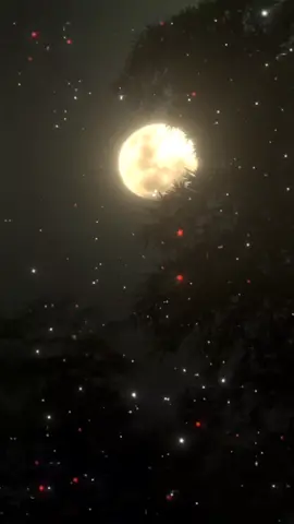 عليك_بتقوى_الله_ #اسلاميات #اسلام #قران #اناشيد #مواعظ #تصميمي #تصميم_فيديوهات🎶🎤🎬 #fyp #tiktokshop 