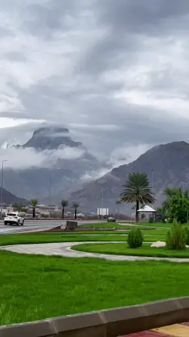 #قلوة_عروس_تهامة 