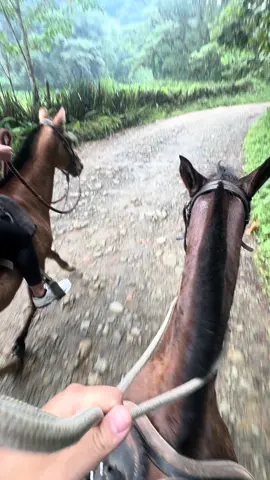 Horse back riding 
