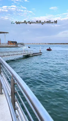 #الهنوف_تغطيات #fypシ゚viral #explore #اكسبلورexplore #الشتاء #جلسه_شتوية #جلسات_بحر #اكسبلورexplore #جديد_الجبيل #اماكن_الجبيل 