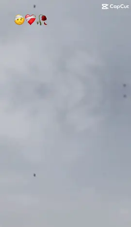 #مجرد________ذووووووق🎶🎵💞 #الكويت🇰🇼 #العراق🇮🇶 #اغاني_عراقيه 