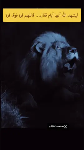 #فليشهد_الله_انها_ايام_ثقال_فاللهم_قوة_فوق_قوة #fypシ゚ #humor #fllowing #video #tik_tok #🔪🔥 #f #viral_ #videoviral ##اللهم_امين_يارب_العالمين🤲 