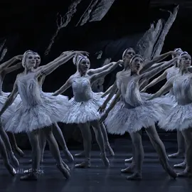 The Swans ୨୧:⋅˚ #ballet#aesthetic#royalballet#royaloperahouse#fyp#foryoupage#fy#foryou