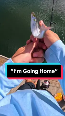 🐠 I’m Going Home #fishing #fishingtiktoks #fyp #fishingvideo #fishtok #tinyfishing #saltwaterfishing #fishinglife #livebait #livebaitfishing 
