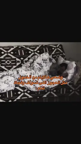 #اكسبلور #اكسبلورexplore #اكسبلورر #اكسبلور_تيك_توك #اكسبلور_explore #رياكشن #رياكشنات #رياكشنات_مطلوبه #مشاهدات100k🔥 #مشاهداتكم⬆️⬆️⬆️⬆️⬆️⬆️ #مشاهدات_ #كوكسال #كوكسال_بابا #الخمول #اكسبلور_تيك_توك 