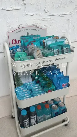 this one may just have the best snack variation yet❄️☃️🩵 #snackcart #restock #asmr #asmrsounds #restocking #snackcartrestock #aesthetic #satisfying #viral #christmas #holidays 