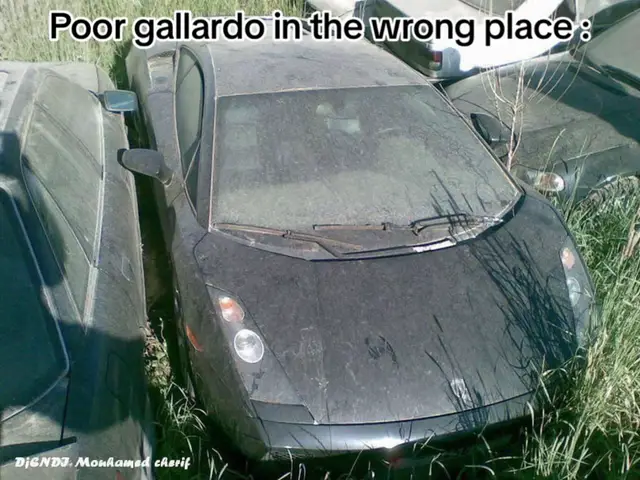 Abandoned gallardo in algeria 🫤🇩🇿 #algeria🇩🇿 #lamborghini #lambo #gallardo #v10engine #abandoned 