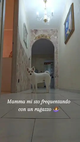 #gelospossessiv @𝓭𝓮𝓷𝔂🦋 