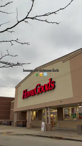you can find me here every weekend 😌 #homegoods #homegoodsfinds #homegoodshaul #christmas #christmasfinds #christmashaul #homegoodschristmas #novemberchristmas #homedecor #christmasdecor 