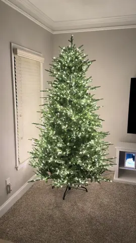 Got the viral #homedepot #christmastree #granddutchess I didnt even fluff it or anything yet and its already gorgeous. @The Home Depot #grandduchessbalsamfir #grandduchess#grandduchesstree#christm astree#homedepot #viralchristmastree#twinkle #twinklelights #christmas #christmasdecor #unboxing #christmas #christmastiktok #christmastreesetup #minimal #christmastreeunboxing #fyp #artificialchristmastree #fypp #prelitchristmastree #inspo #holidays #thanksgiving 