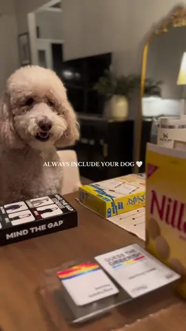 ib: @mare  #dogsoftiktok #doglover #wedontdeservedogs #goldendoodle #dogsofttiktok #dogsoftiktokviral #dogvideos 