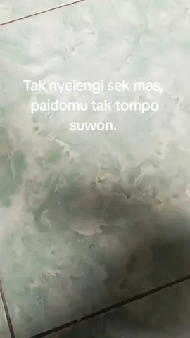 #miniatursound#soundhoreg #miniatursound #miniatursoundsystem #horeg #spek6inch #miniatur6in #soundbalap #fypシ #trend #fyp 