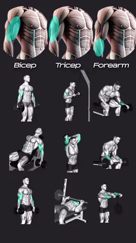 💪 Arm Day Essentials: Biceps, Triceps, and Forearms! Ready to sculpt stronger arms? 🔥 Save this guide and crush your next arm workout! Bicep Exercises Dumbbell Curl - Keep elbows close and avoid swinging for better control. Incline Dumbbell Curl - Use slow, controlled motion for a full bicep stretch. Hammer Curl - Hold dumbbells with palms facing each other to hit biceps and forearms. Tricep Exercises Tricep Pushdown (Cable) - Keep elbows pinned and fully extend for max activation. Overhead Tricep Extension (Dumbbell) - Keep elbows close to head and extend overhead. Close-Grip Bench Press - Narrow grip, push through palms for effective tricep targeting. Forearm Exercises Wrist Curls - Rest forearms on thighs, curl only wrists to isolate flexors. Reverse Wrist Curls - Palms down, slow curl for forearm extensors. Wrist Roller - Roll slowly for endurance and controlled engagement. #armworkouts #bicepworkouts #tricepworkouts #forearmworkout #planfit