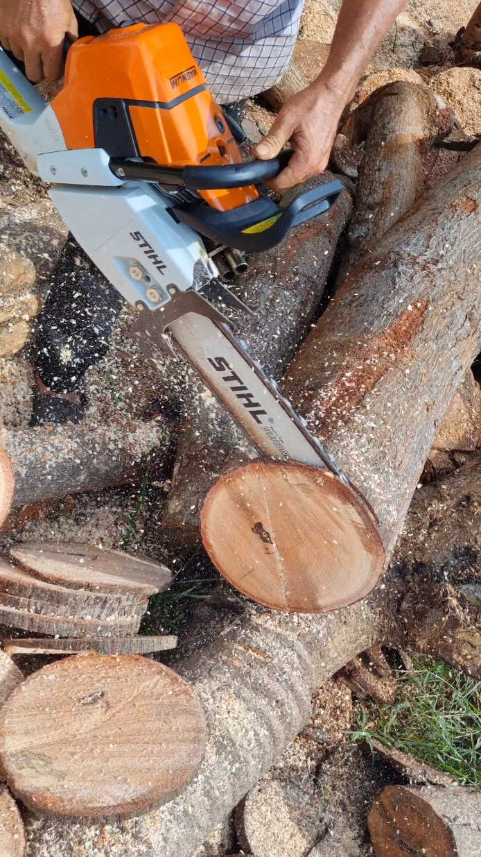 stihl 661 magnum #stihl #stihl660 