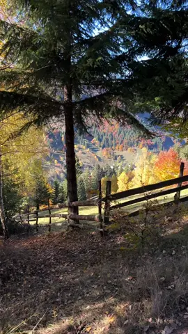 Moieciu de Sus - Piatra Craiului  #autumnvibes #fairytail #muntiipiatracraiului #romaniamagica 