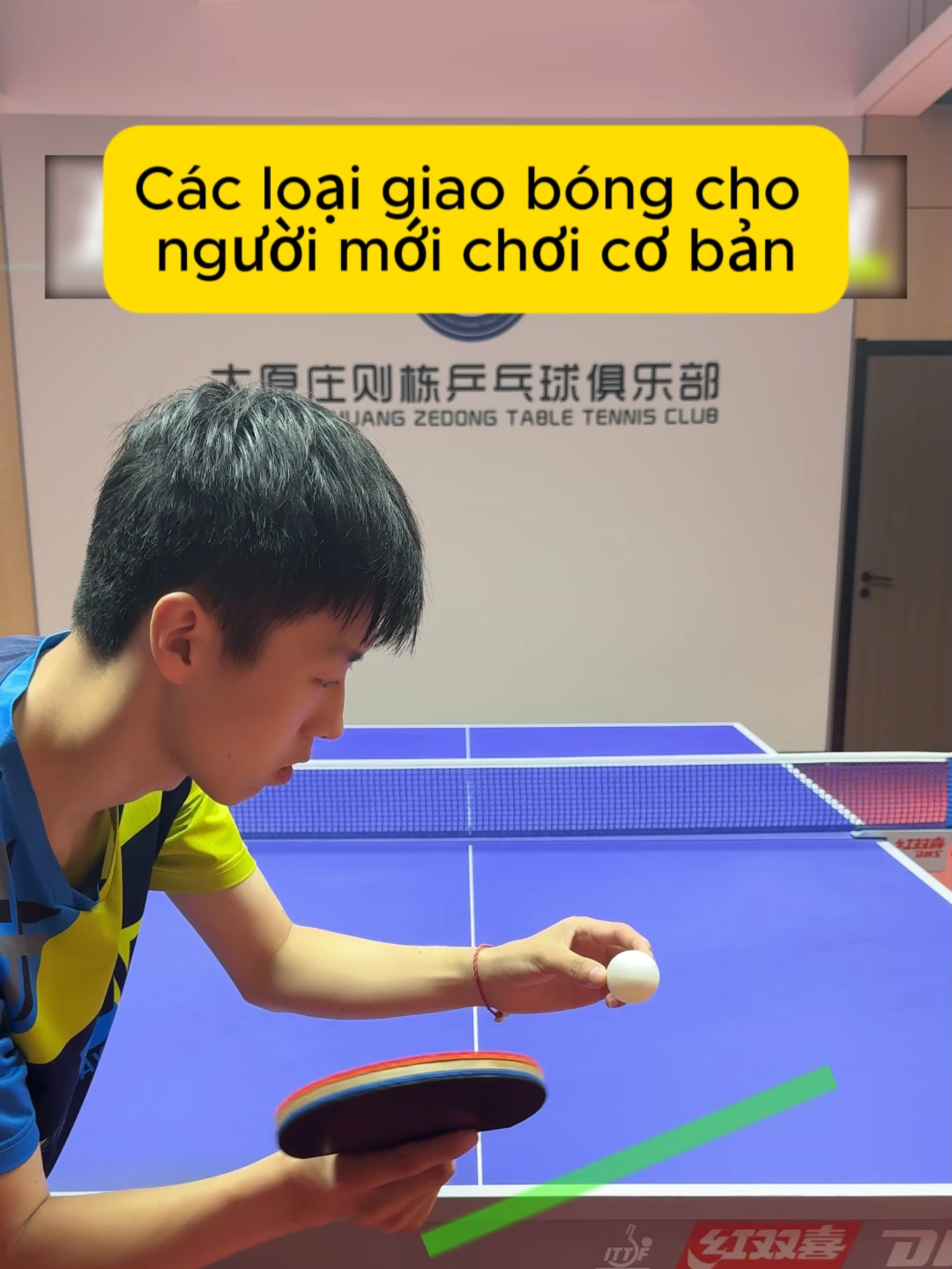 Các loại giao bóng, quả giao con lắc ngược quá khó mình vẫn chưa làm được #tabletennis #pingpong #bongban #ducphuongdo @table_tennis_bong_ban