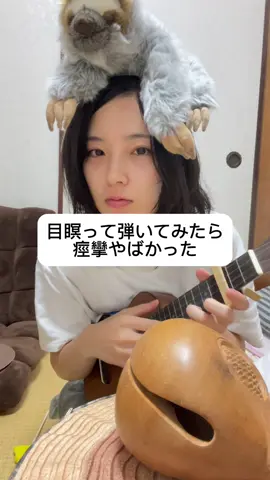 なまけもののぬいぐるみは後輩(部活入るふりして入らんかったやつ)からもらいました。 #なまけもの　#弾き語り　#ウクレレ　#ukulele  