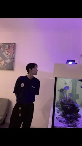 Mengenal Tanpa Sengaja Melupakan Hampir gila Siapa Sangka Wajah yang Semanis Senja telah Membuat luka Sedalam Samudra