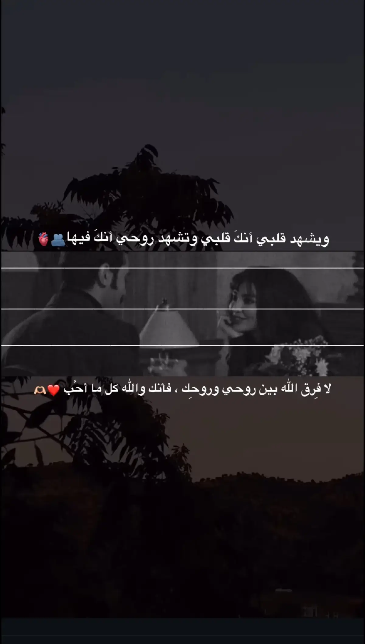 ويشهد قلبي انك بقلبي ويشهد روحي انك فيها#❤♥♥ #❤♥♥