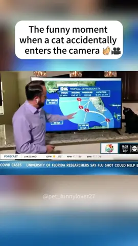 The funny moment when a cat accidentally enters the camera#funny #funnyvideos #funnytiktok #cat #funnycat #catsoftiktok #Foryou 