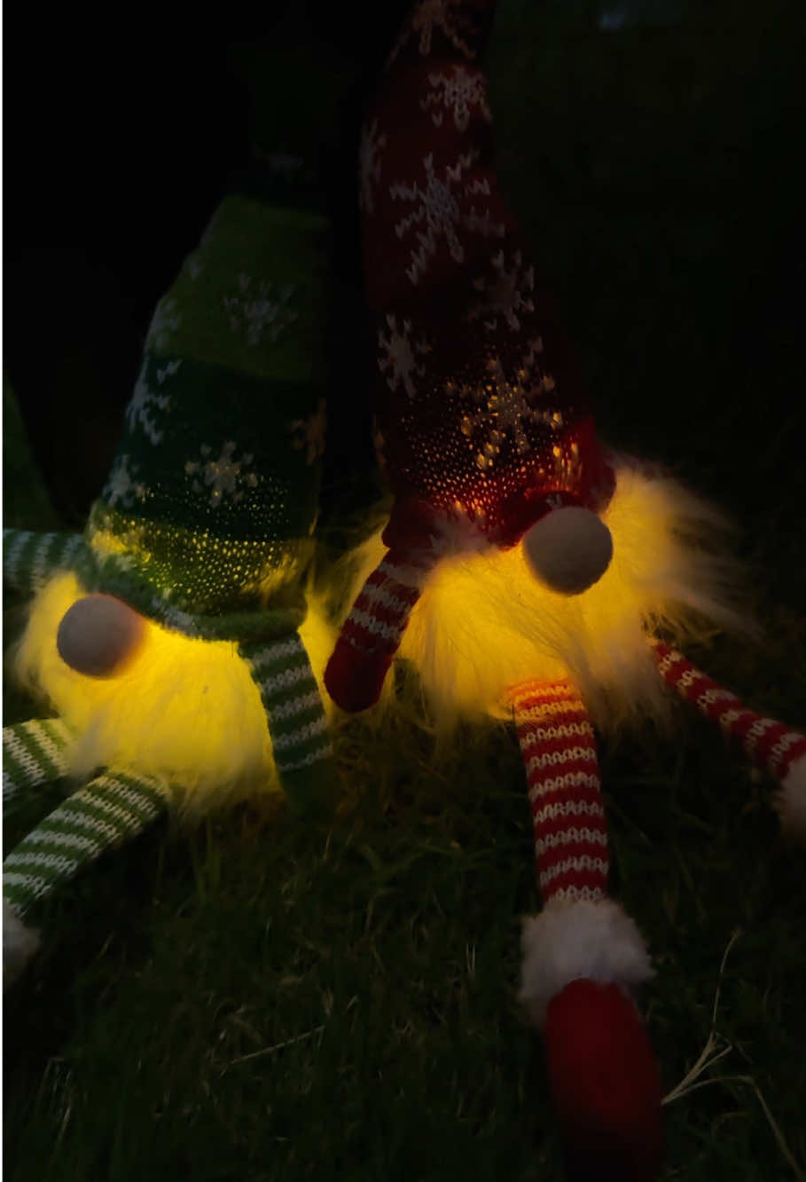 Can’t wait to dress up for my Christmas🎄☃️❄️🎅 #christmas #christmaslight #decor #christmasdecor #blackfriday #spotlight #tiktokmademebuyit 