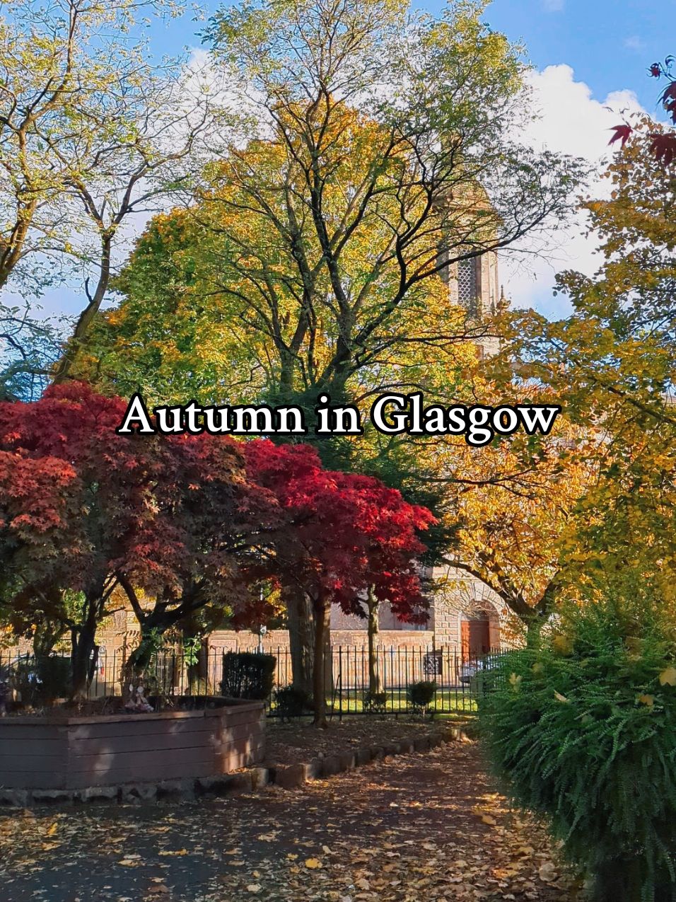 Autumn in Glasgow 🥰🍁🍂 #glasgow #autumn #autumnleaves #Scotland 