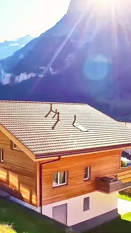#SwissView #viral #Swiss #fyp #longvideo