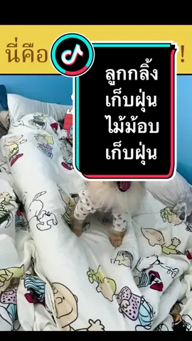 ง่ายกว่านี้ไม่มีอีกแล้ว ลูกกลิ้งเก็บฝุ่น กลิ้งขนสัตว์ เก็บเส้นผม ใช้แทนไม้กวาดหรือเครื่องดูดฝุ่น แถบกาวเหนียว 60 แผ่นต่อม้วน ใช้ได้นาน ราคาถูกเทียบกับคุณภาพ#ของดีบอกต่อ #tiktokป้ายยา #tiktokmademebuyit #tiktokshopครีเอเตอร์ #ลูกกลิ้งเก็บฝุ่น #ไม้ม๊อบ  @พิตต้า Pitta @  @พิตต้า Pitta @  @พิตต้า Pitta @ 
